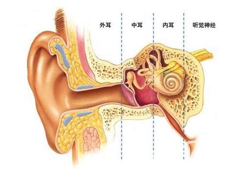 大舌头病因