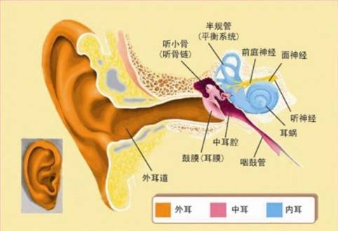 语言障碍怎么治疗