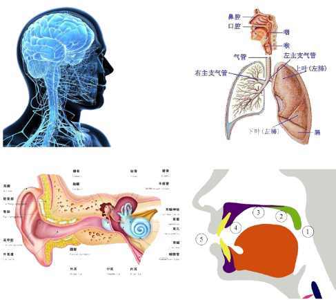 儿童发音不准