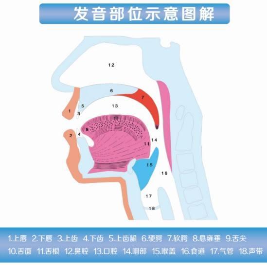 发音不准原因